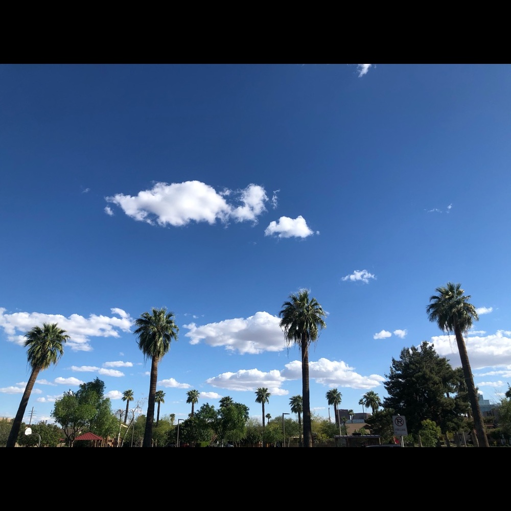 Meet your Posher, Joy